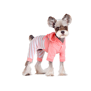 Pet Clothes & Accessories