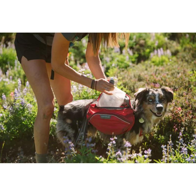 ruffwear-palisades-pack-dog-backpack-3.webp